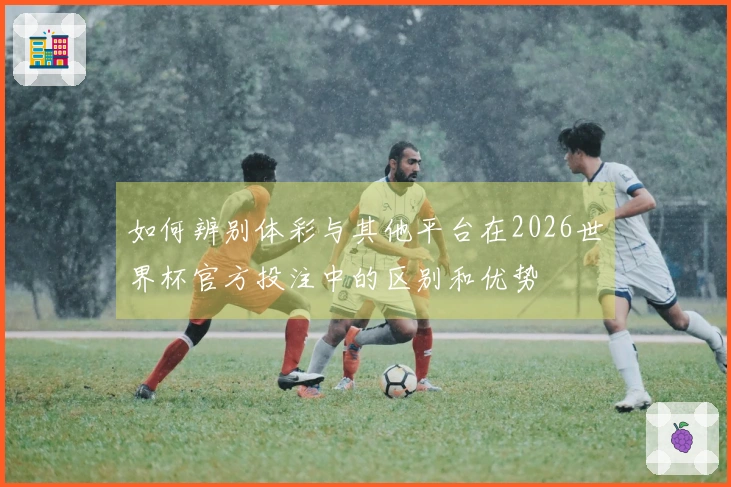 如何辨别体彩与其他平台在2026世界杯官方投注中的区别和优势