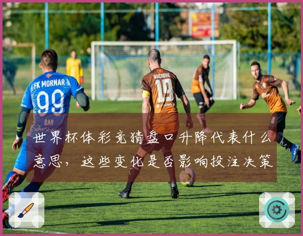 世界杯体彩竞猜盘口升降代表什么意思，这些变化是否影响投注决策