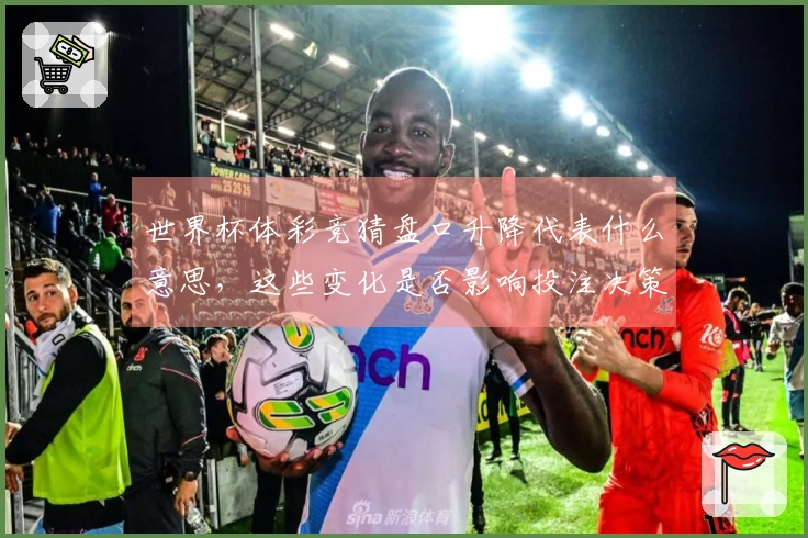 世界杯体彩竞猜盘口升降代表什么意思，这些变化是否影响投注决策